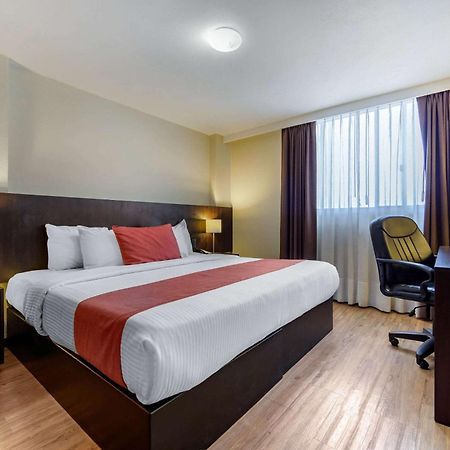 Comfort Inn Сан-Луис-Потоси Экстерьер фото